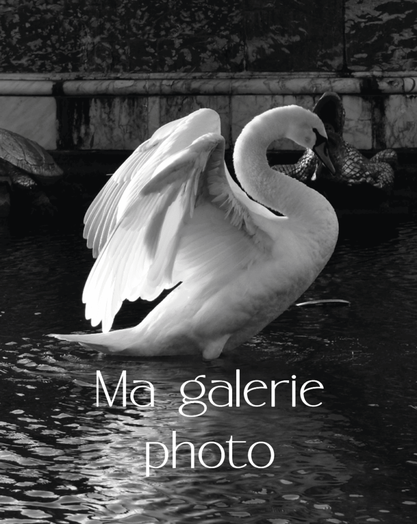 Ma galerie photo - Portfolio Liah Ravier Boisseau