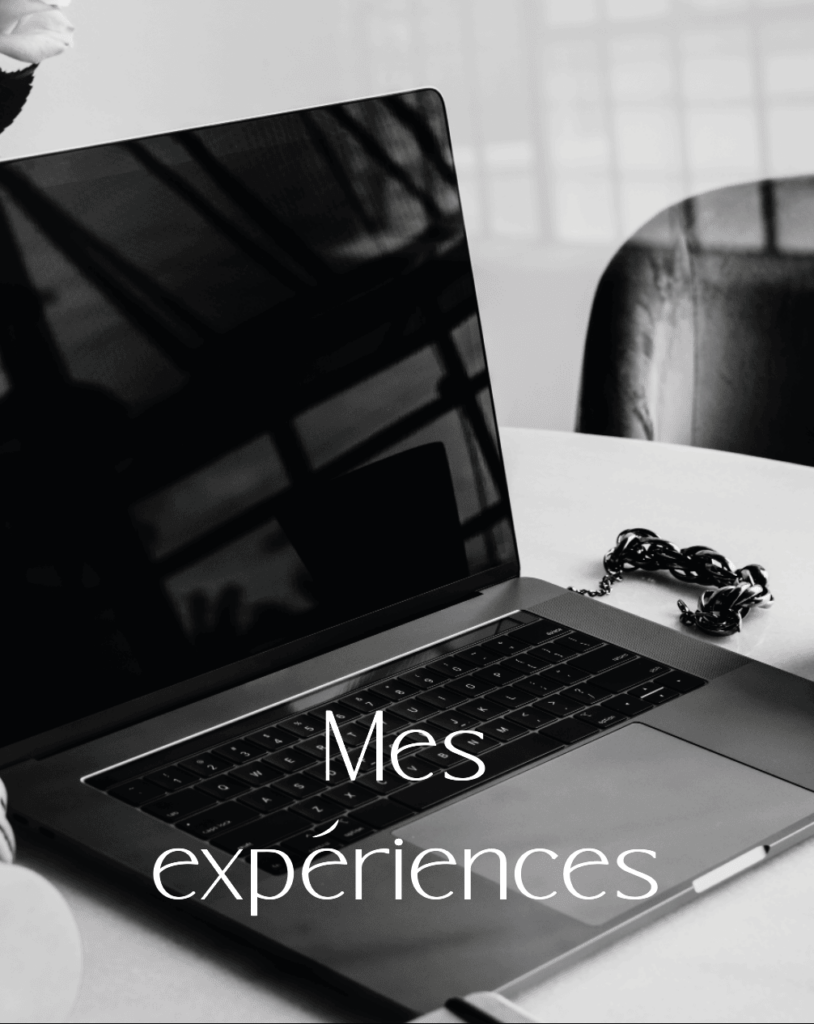 Mes expériences - Portfolio Liah Ravier Boisseau